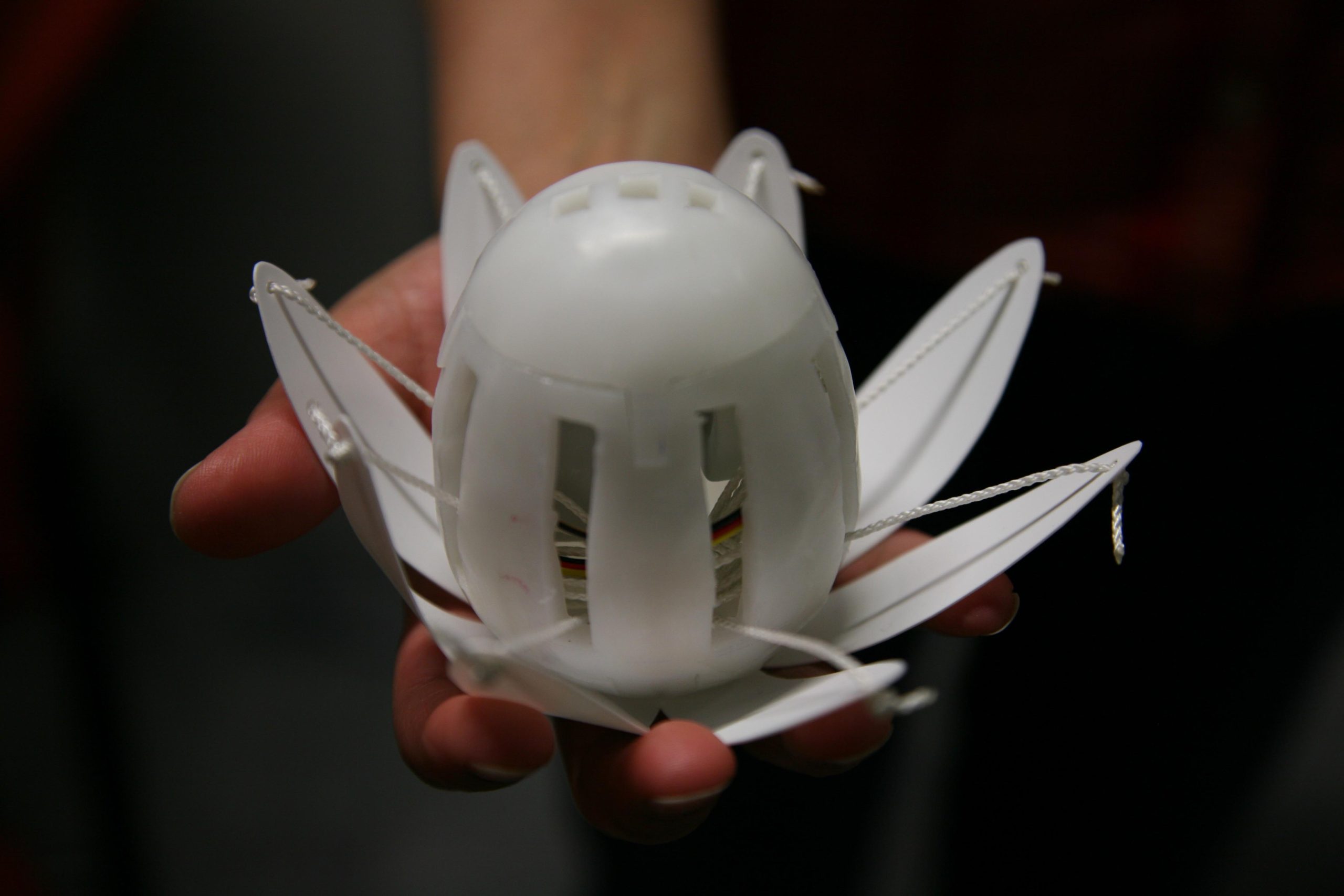 A photograph of a Lotus resting  front on in a white male hand with 8 distinct closed  petals.  Angled from above the top of the Lotus is visible showing square holes  and strings and wires inside the core.
