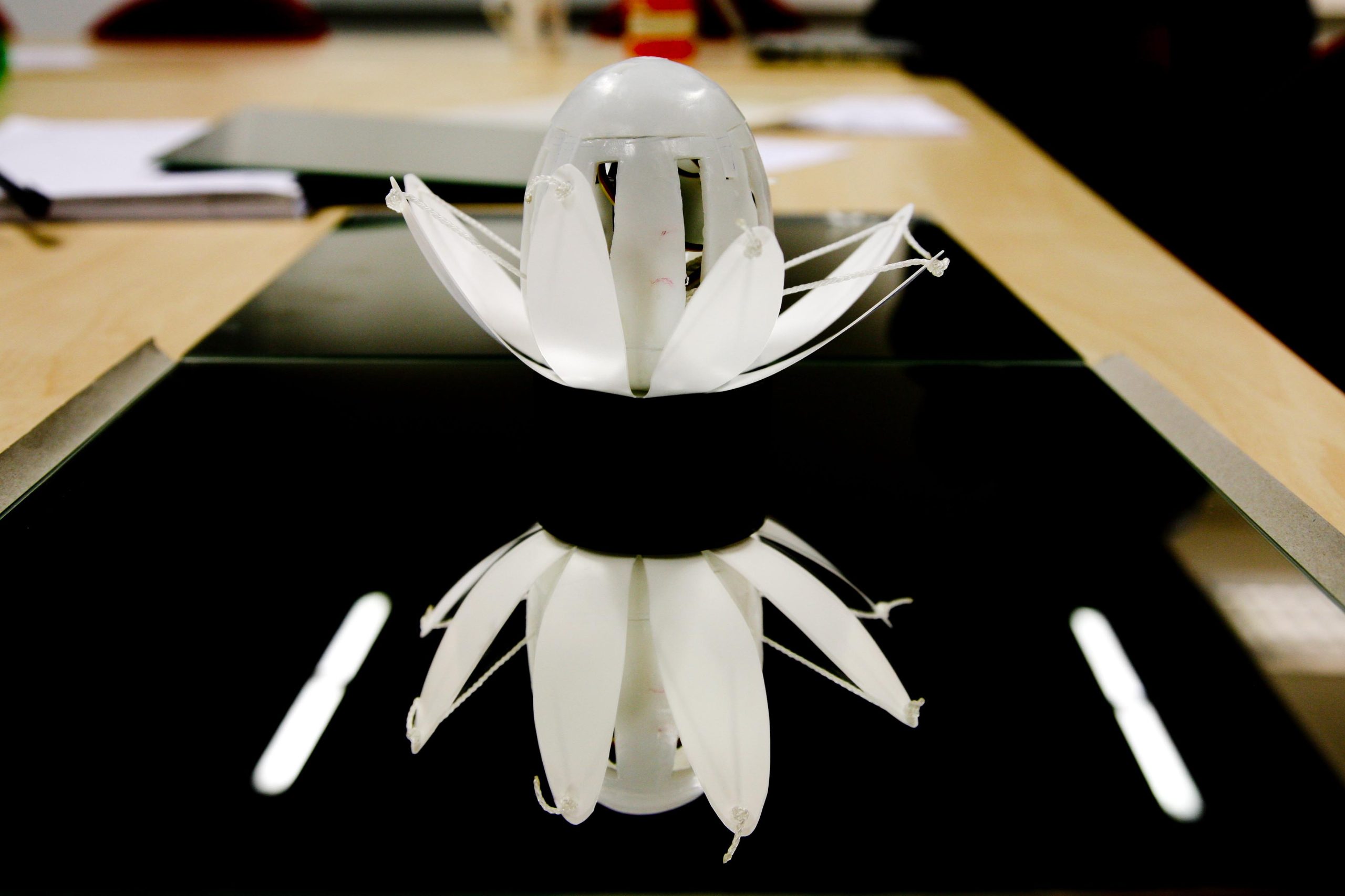 A photograph of a  white haptic lotus resting on a mirror  on a desk,   with a clear reflection of it upside-down underneath, along with some overhead strip lights.  It’s string mechanism is taught with some wires slightly visible inside  the core compartment, reaching  to the top.