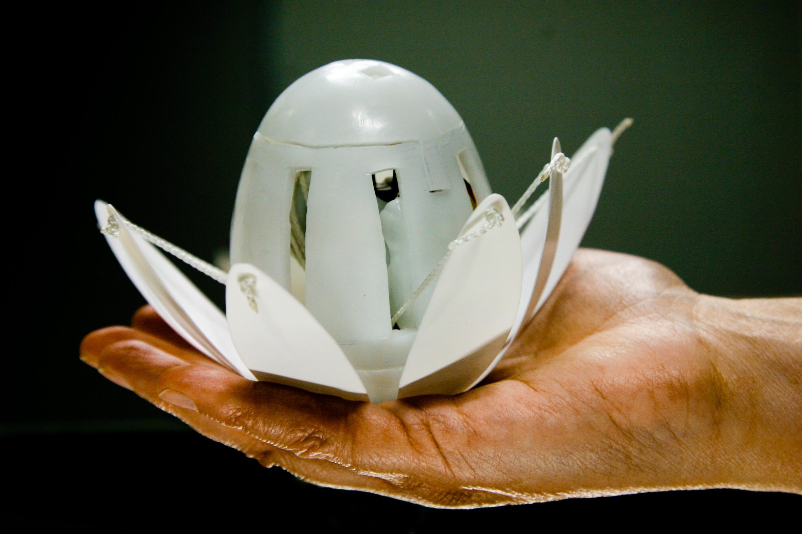 A large photograph of the  wite Lotus  side on in a male hand   occupying  the full palm, shows  the device with it’s petals   open and with it’s core compartment  of electronics  exposed.

Protactile Description  - The Lotus  feels the size of a cricket  ball   when petals are closed, and when open, more like  a mechanical flower about the size of a small cauliflower.  It  is a weighty object, also as heavy as a cricket ball, and when it is activated, has a slight continual internal  vibration which makes it feel alive.  When the petals open and close, it makes a high pitch  switching,  shifting sound.